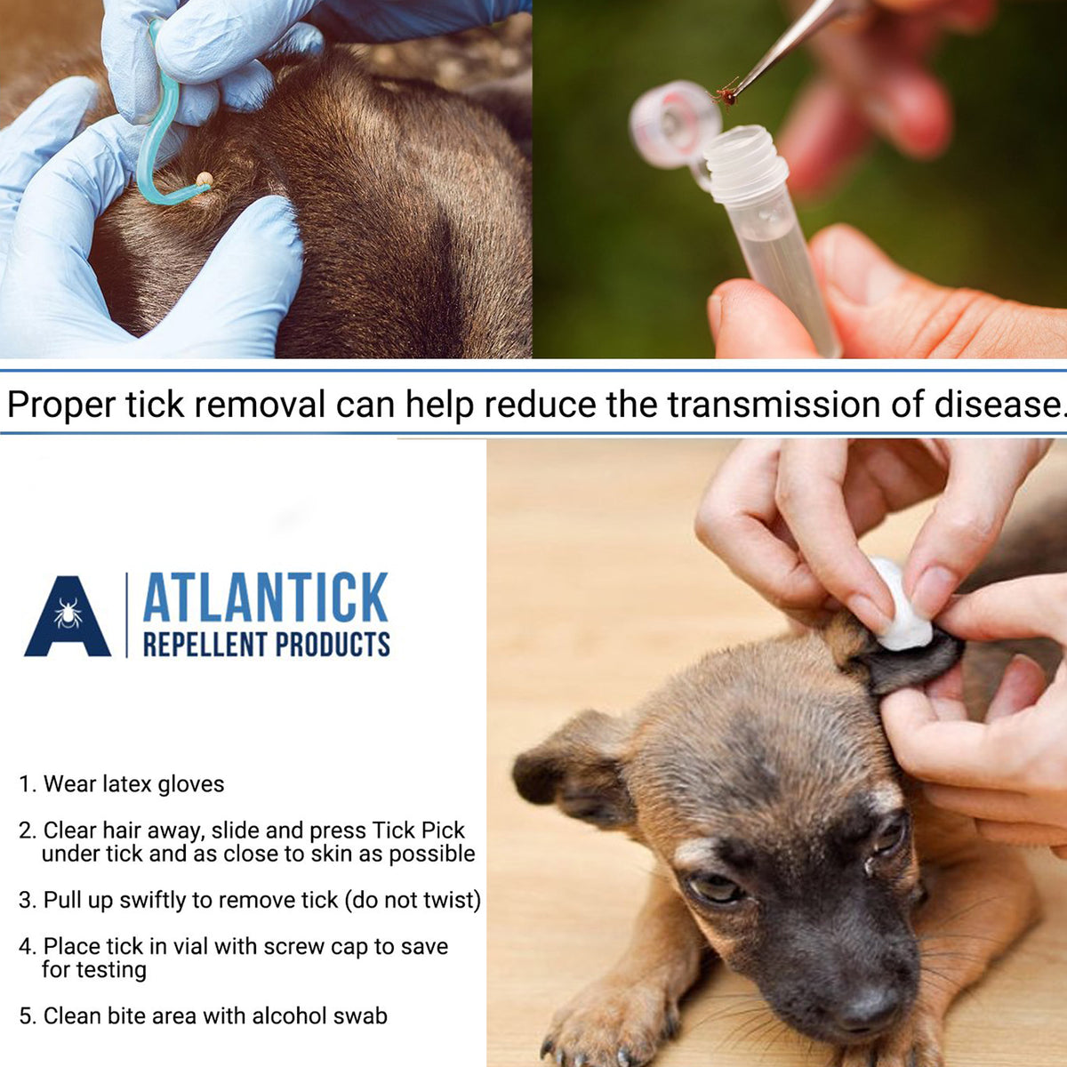 AtlanTick - TickPick® – The Ultimate Double-Sided Tick Removal Tool
