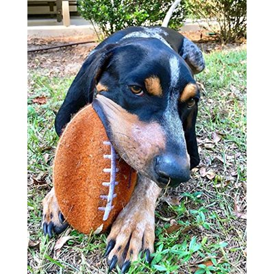 Nylabone Power Play Football Large, 8.5"