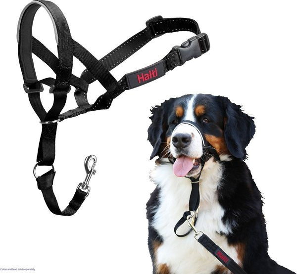 Halti Dog Headcollar, Black, Size 4 (Size: Size 4)