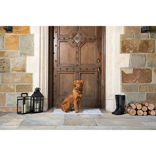 Dog Gone Smart Dirty Dog Doormat Silver Grey Medium 20" x 31"