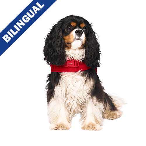 Canada Pooch® - The Harness Puffer - Red - Size 10