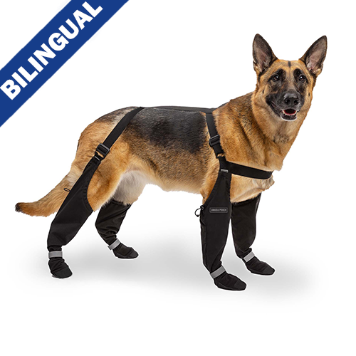 Canada Pooch - Suspender Boots - Black - 3 - Long