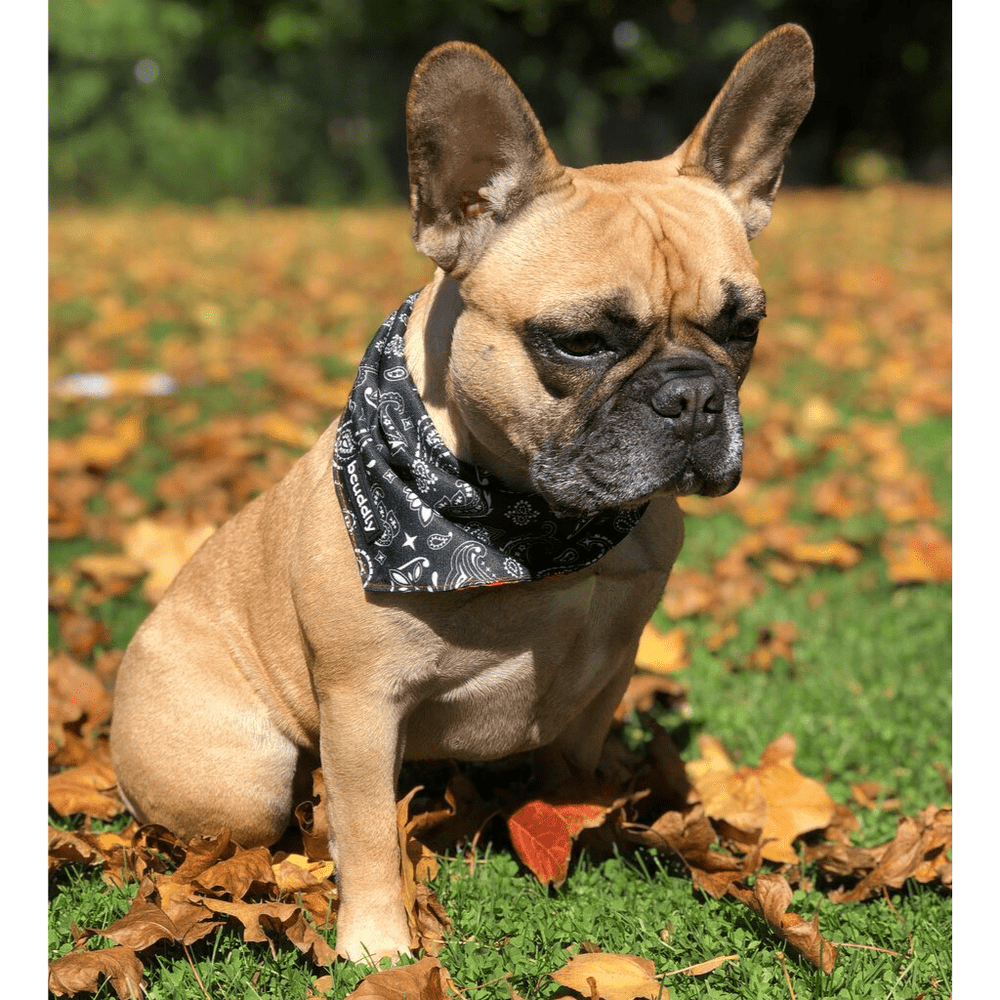 BCUDDLE Reversible Dog Bandana - Red Plaid - Medium