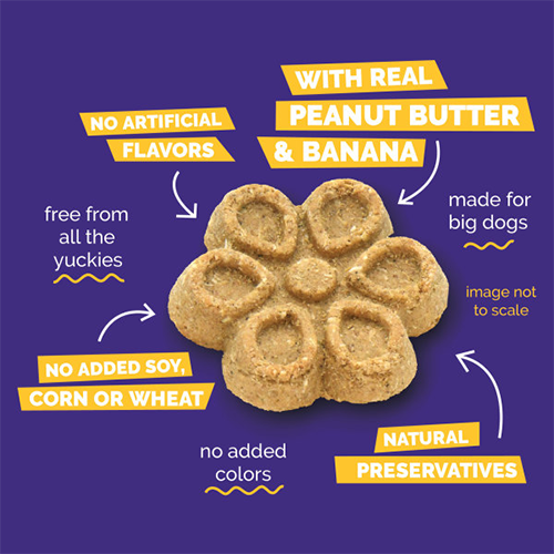 Fruitables® BIGGIES™ With Real Peanut Butter & Banana Dog Treat, 16-oz