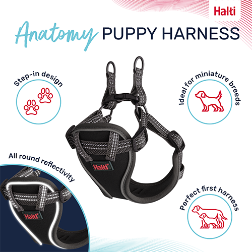 Company of Animals® Halti® Anatomy Puppy Harness, Grey, XX-Small