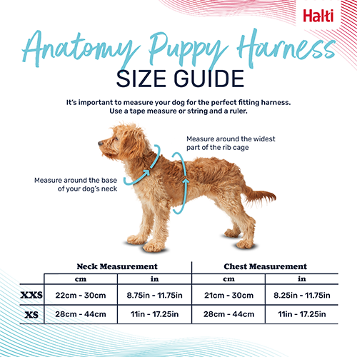 Company of Animals® Halti® Anatomy Puppy Harness, Grey, XX-Small