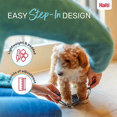 Company of Animals Halti Anatomy Puppy Harness, Grey, XX-Small