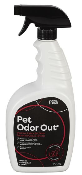 Enviro Fresh Original Odor Out Multi Purpose Dog 950ml