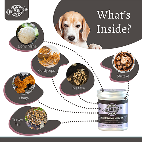 NaturPet® Dr. Maggie Organic Mushroom Medley for Cats & Dogs, 88-g