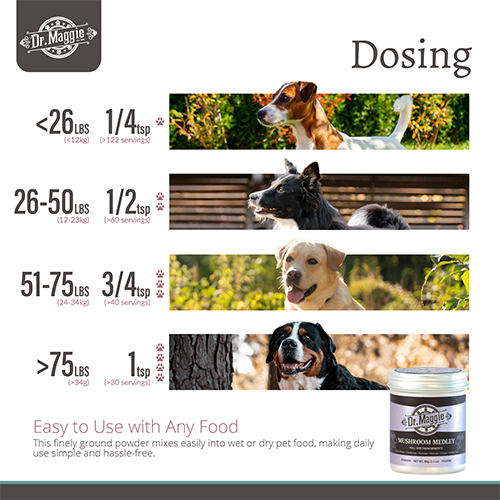 NaturPet® Dr. Maggie Organic Mushroom Medley for Cats & Dogs, 88-g
