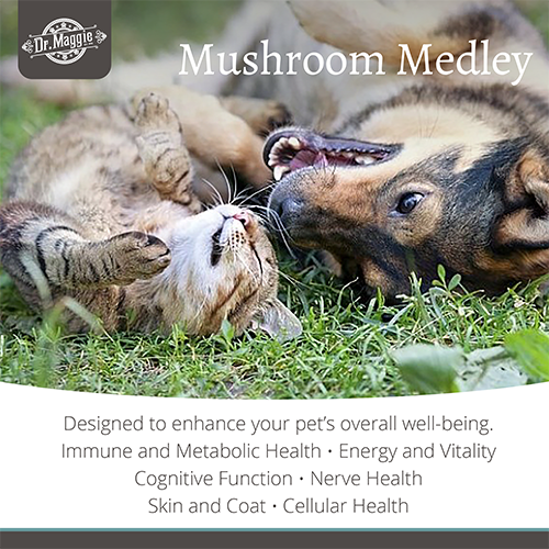 NaturPet® Dr. Maggie Organic Mushroom Medley for Cats & Dogs, 88-g