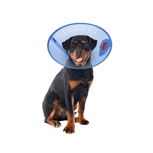 Acorn Pet Products Calm Paws Behavior Support E-Collar, Large