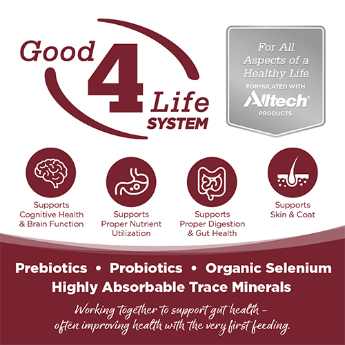 NutriSource® Beef & Rice Recipe Wet Dog Food, 12.3oz