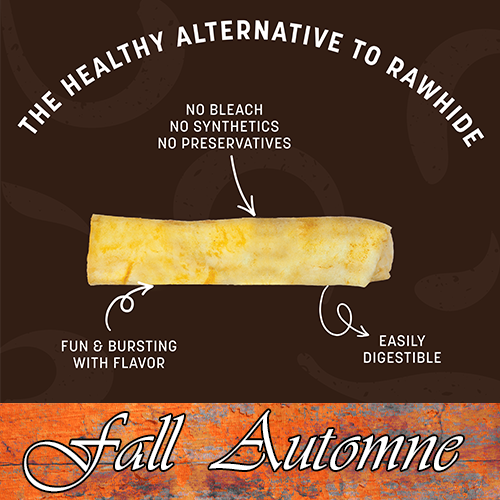 Earth Animal® No-Hide® FALL Pumpkin Spice Recipe Rolls, Medium