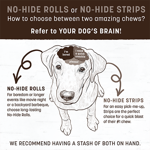 Earth Animal® No-Hide® HOLIDAY Holiday Feast Recipe Rolls, Medium