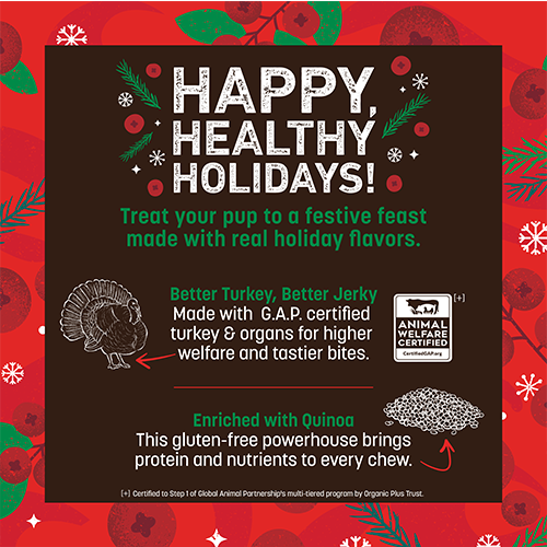 Earth Animal® Wisdom™ HOLIDAY Holiday Feast Recipe Air-Dried Jerky Dog Treat, 4-oz