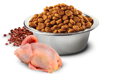 Farmina Quinoa Quail Skin & Coat Cat, 1.5kg