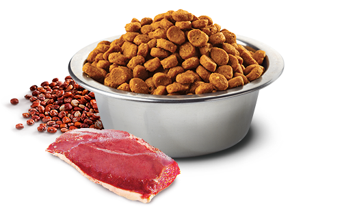 Farmina N&D Quinoa Urinary Duck Dry Cat Food, 3.3-lb