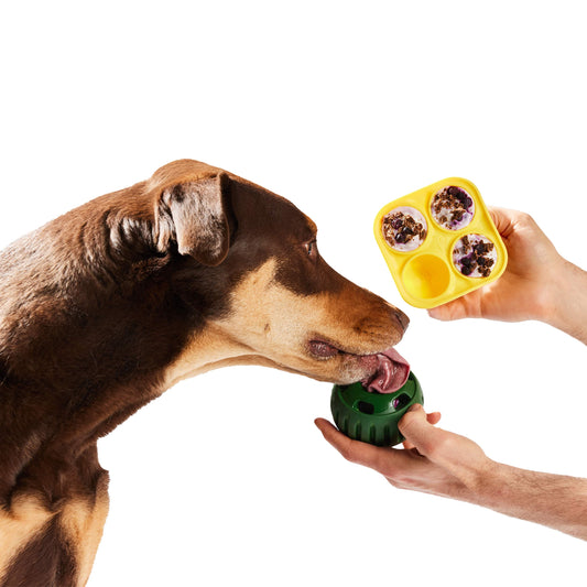 Woof - Pupsicle Treat Tray - Large