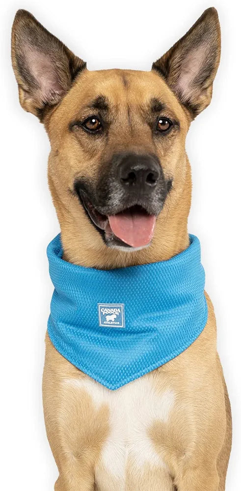 Canada Pooch Cooling Bandana Blue Medium