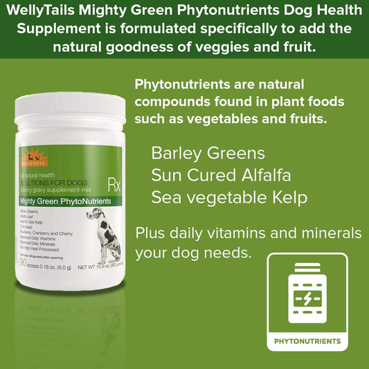 Wellytails Mighty Phytos Plus Vitamins And Minerals Rx Dog, 454g