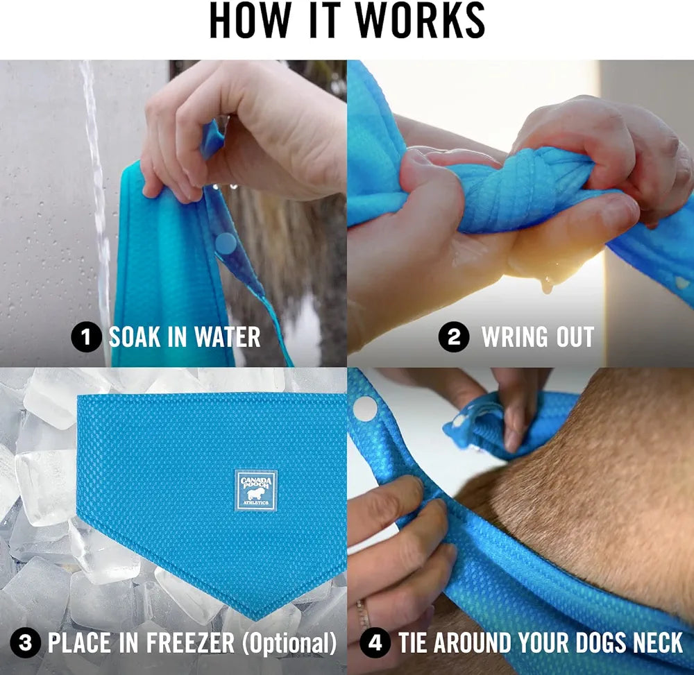 Canada Pooch® Cooling Bandana Blue Medium