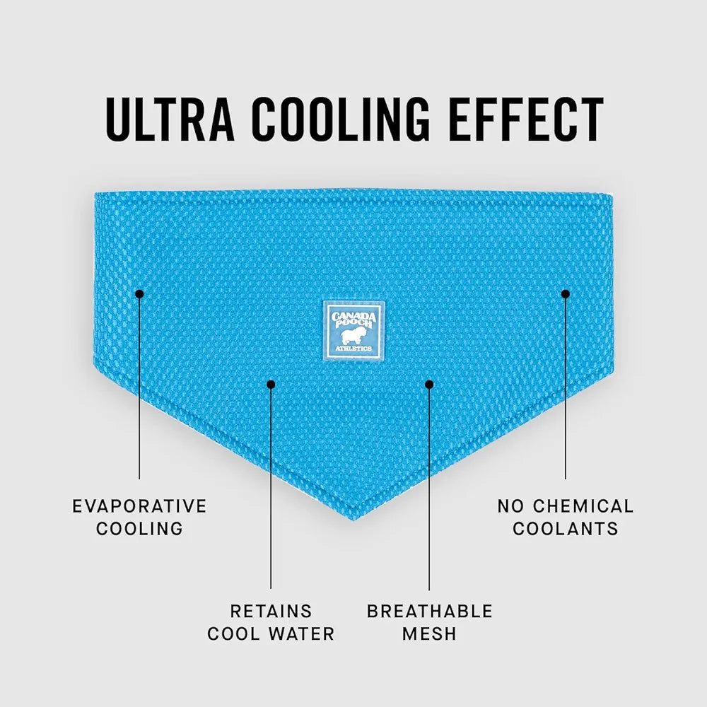 Canada Pooch Cooling Dog Bandana, Blue, Large (Size: Large)