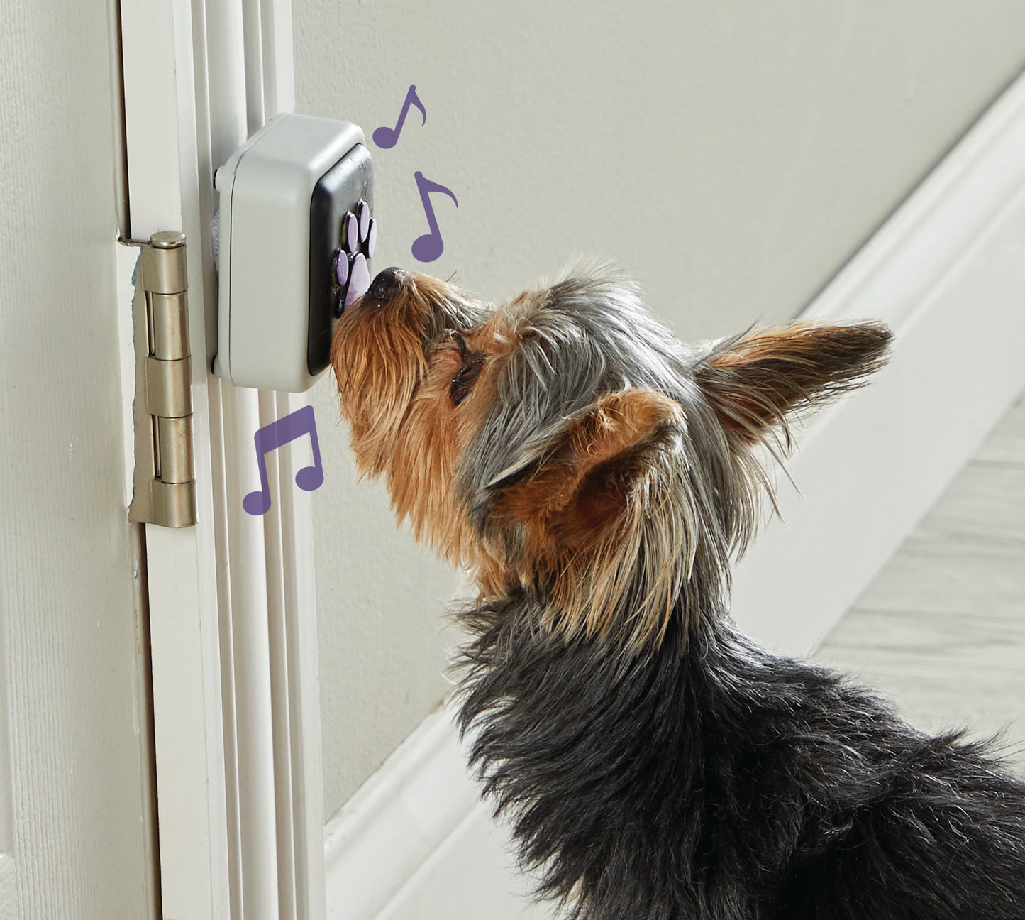Hunger For Words Talking Pet Door Bell