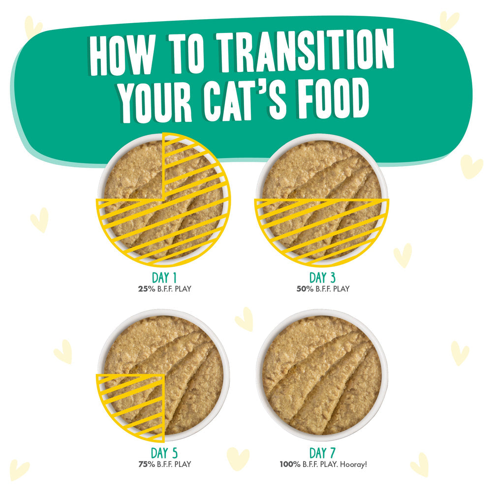 BFF PLAY PATE Chicken & Turkey Tiptoe Wet Cat Food Pouch, 3.0-oz