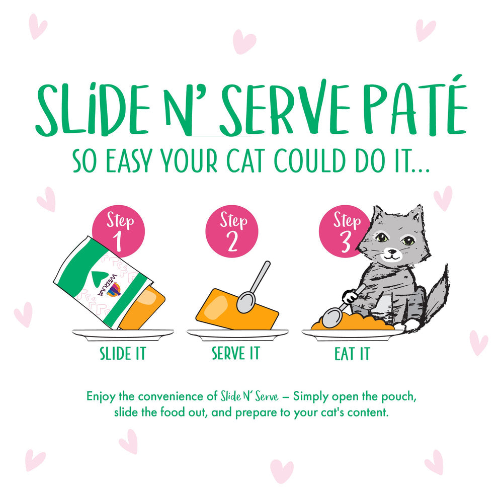 BFF PLAY PATE Chicken & Turkey Tiptoe Wet Cat Food Pouch, 3.0-oz