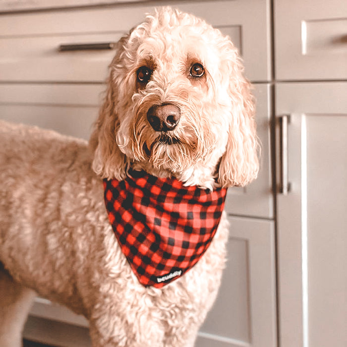 BCUDDLE Reversible Dog Bandana - Red Plaid - Large