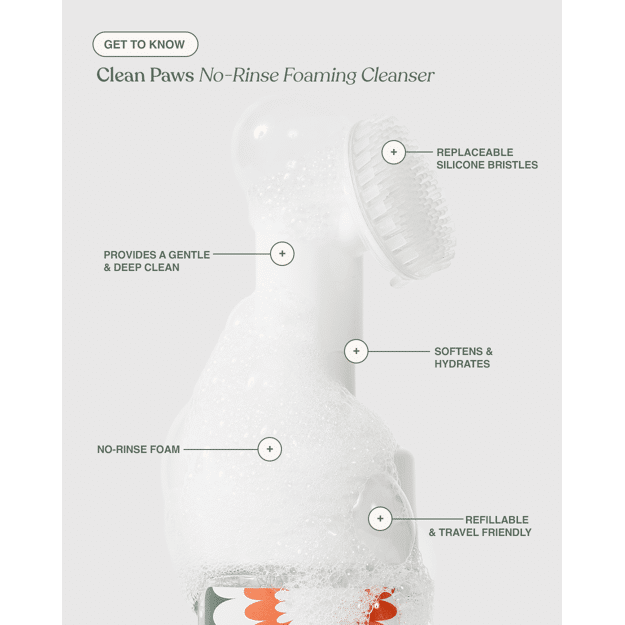 Dandylion Clean Paws No-Rinse Foaming Cleanser, 218-g