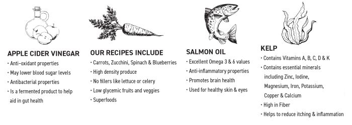 Northshore RAW Beef Patties Frozen Dog Food, 3.6-kg (Size: 3.6-kg)