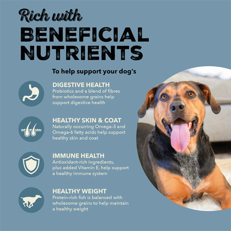 ACANA Healthy Grains Adult Sea & Stream Dry Dog Food, 10.2g