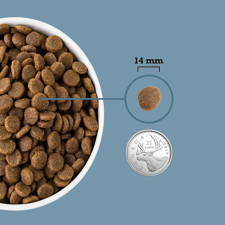 ACANA Healthy Grains Adult Sea & Stream Dry Dog Food, 10.2g