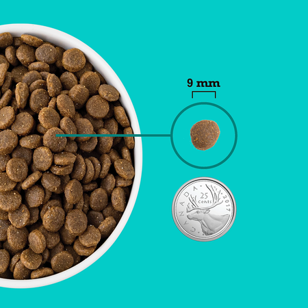 ACANA Healthy Grains Puppy Sea & Farm Dog Food, 1.8kg