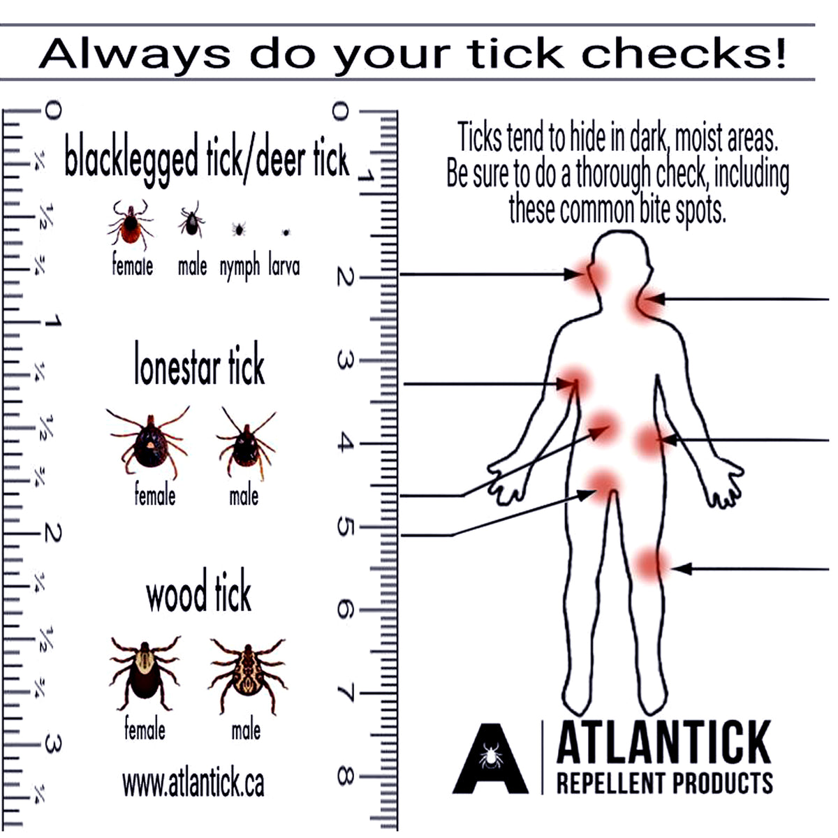 AtlanTick - Tick Kit – Your All-in-One Tick Removal & Protection Solution