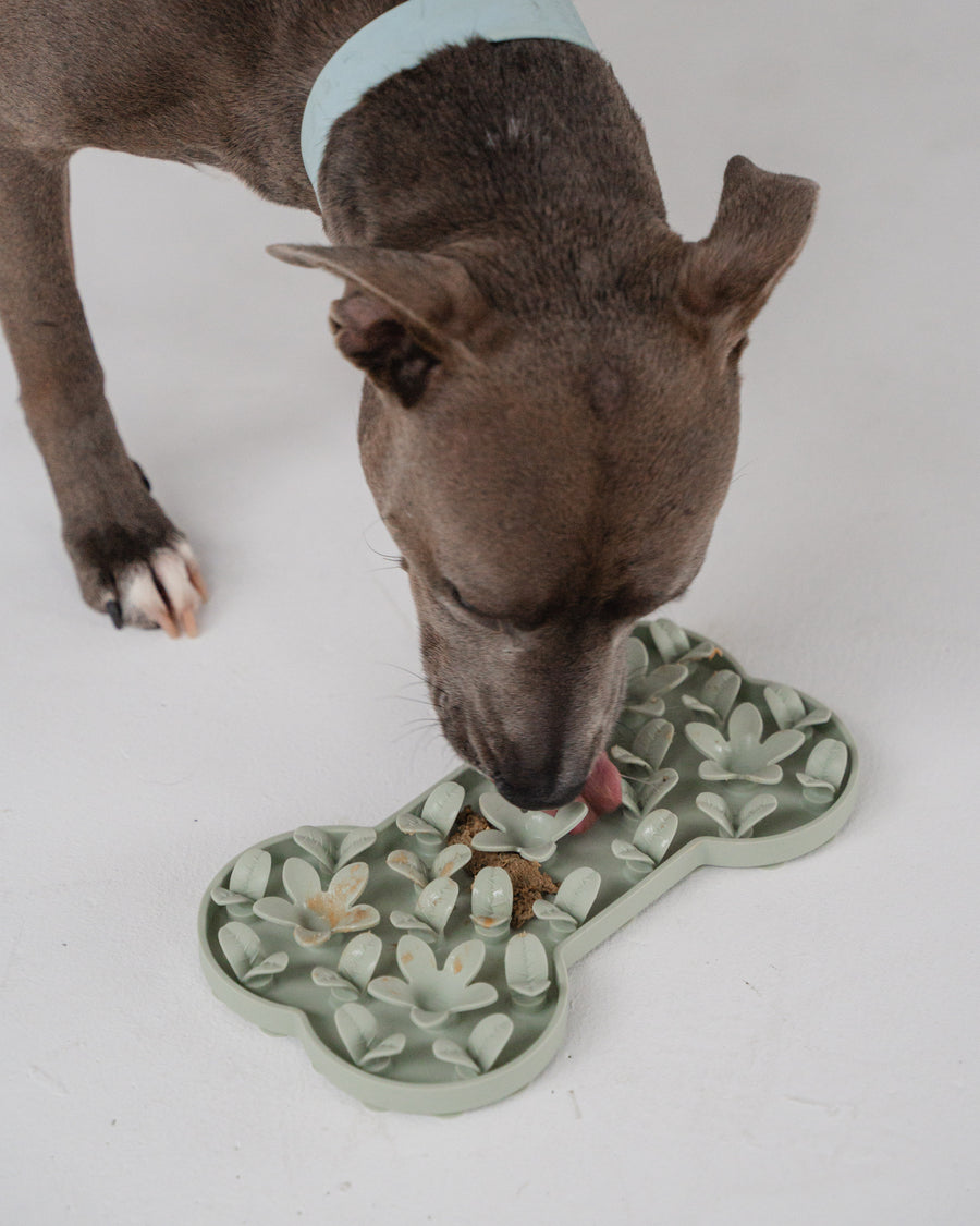 Dexypaws- Silicone Snuffle Mat "Hide + Seek" Bone - Sage Green