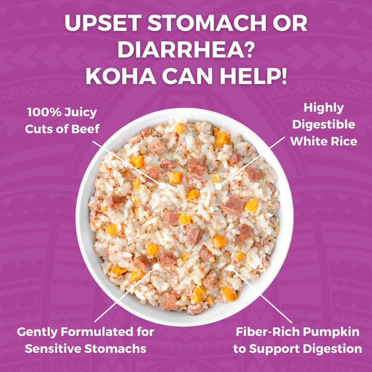 KOHA Bland Diet - Beef + White Rice - 12.5-oz