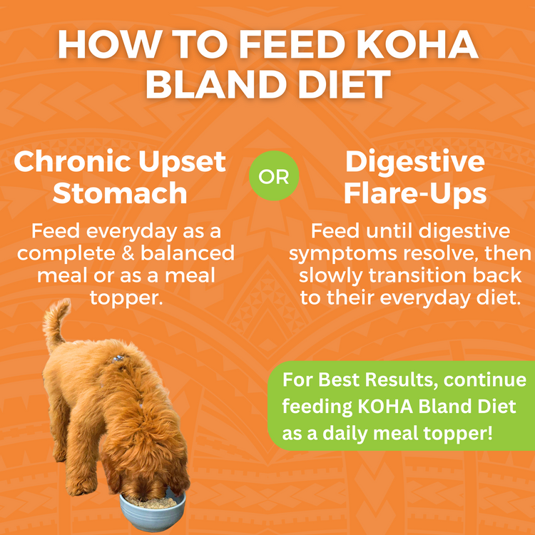 KOHA Bland Diet - Chicken + White Rice, 12.5oz