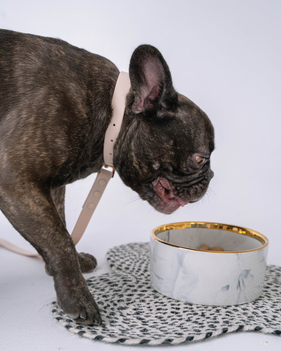 DexyPaws Grey Marble Dog Bowl with Gold Accent