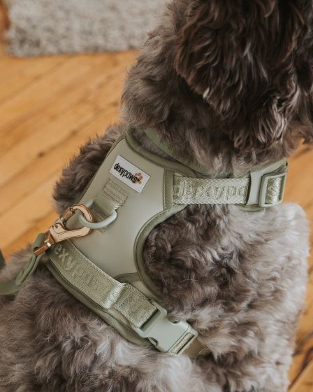 Dexypaws - No-Pull Dog Harness - Sage Green - XL