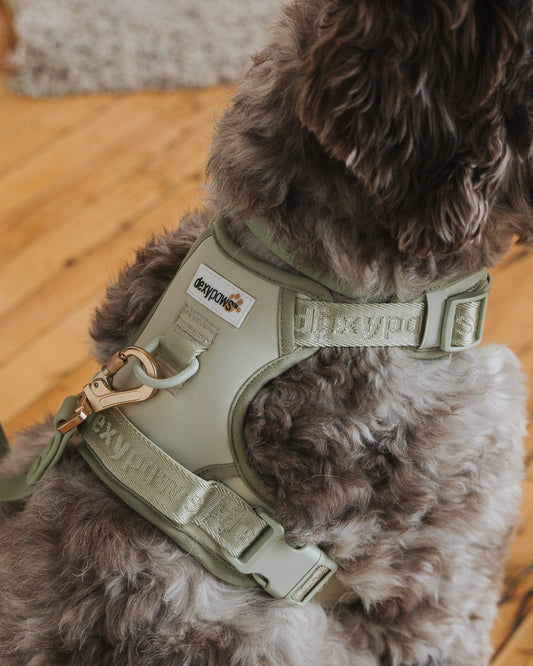 Dexypaws - No-Pull Dog Harness - Sage Green - XS