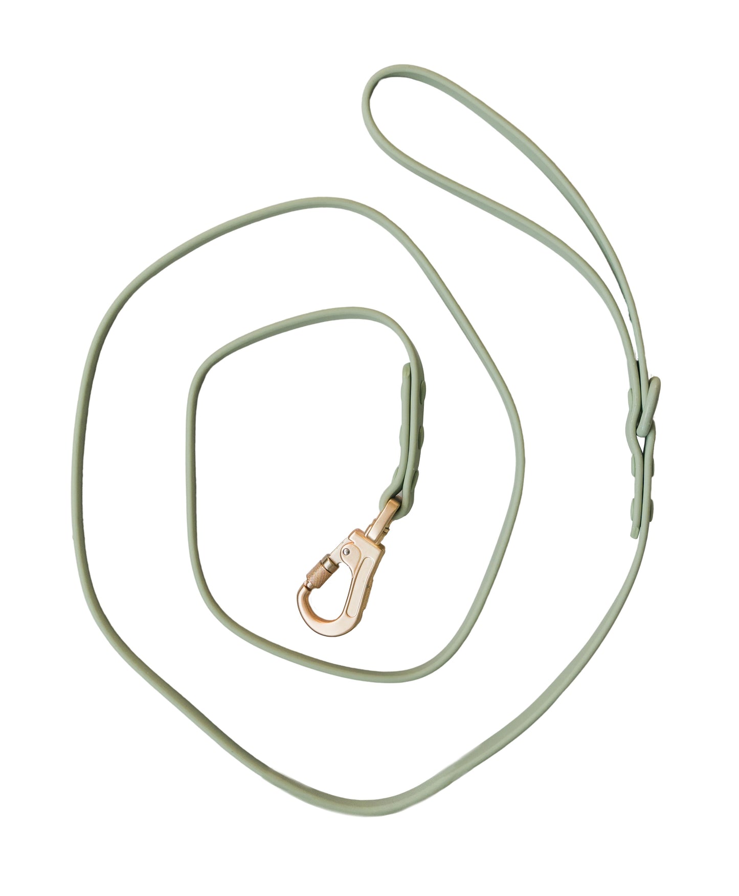 Dexypaws - Waterproof Dog Leash - Sage Green - 5 Feet