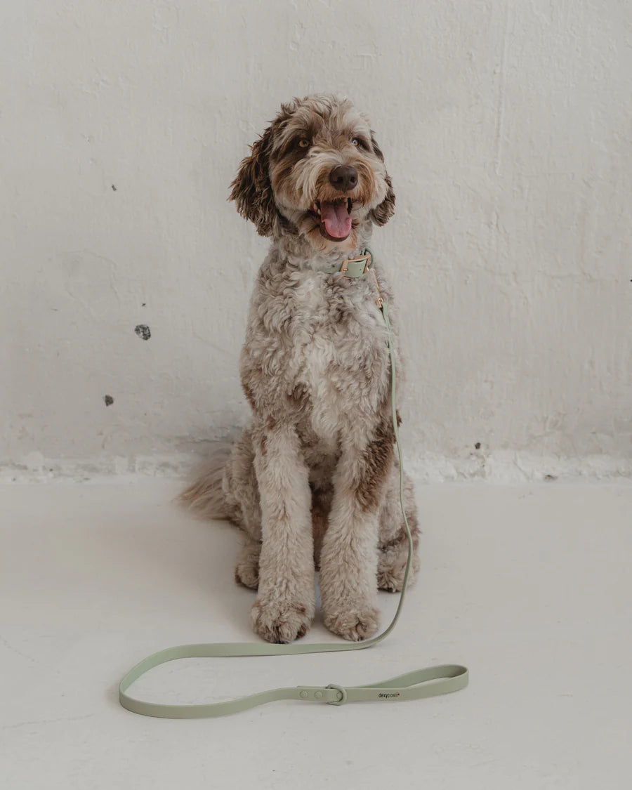 Dexypaws - Waterproof Dog Leash - Sage Green - 5 Feet