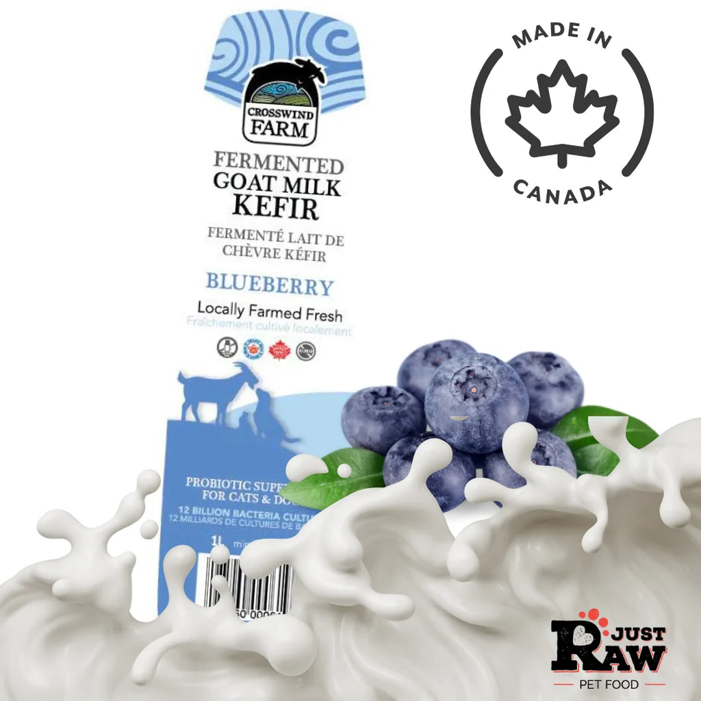 Crosswind Farm Frozen Fermented Goat Milk Kefir Blueberry 1-L Bowmanville Ontario