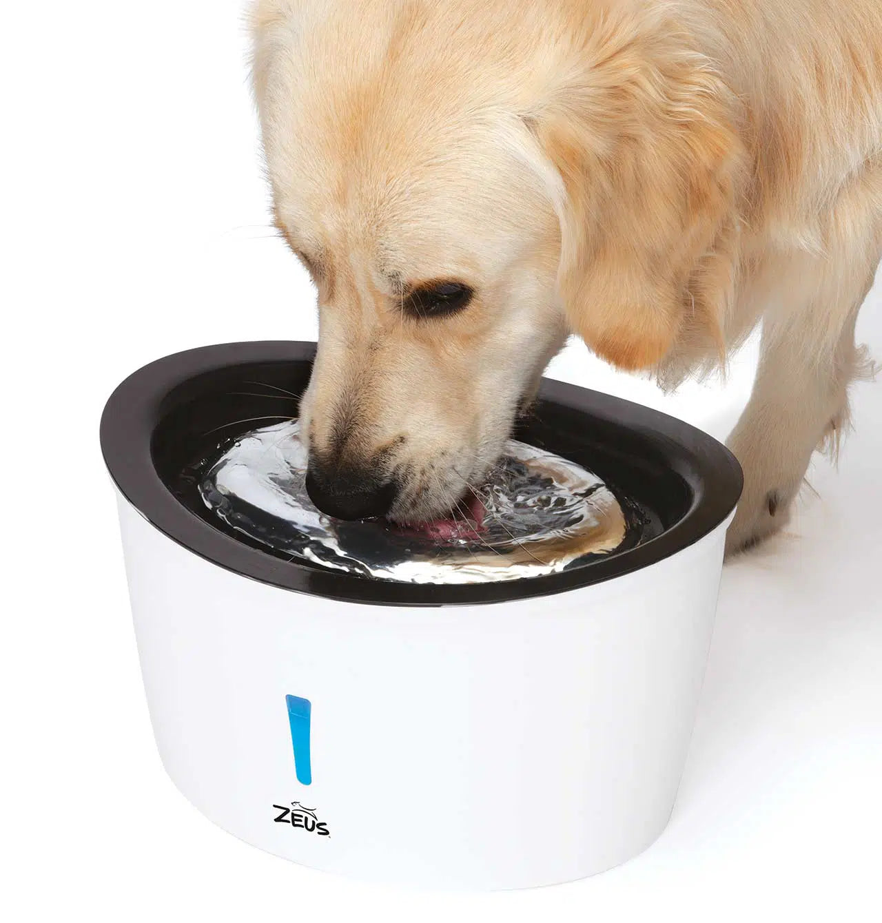 Zeus Cascade Drinking Fountain with Stainless Steel Top 6-L