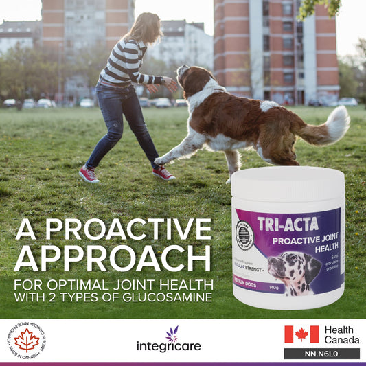 Tri-Acta Regular Strength Joint Health Supplement for Medium Dogs, 140-gram