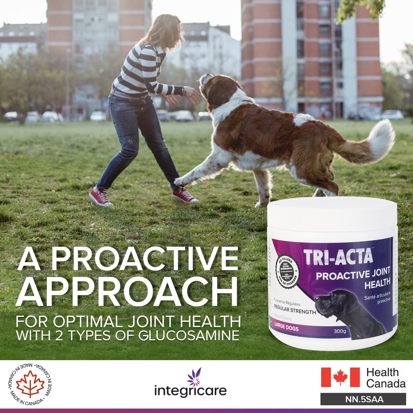 Tri-Acta Regular Strength Joint Health Supplement for Large Dogs, 300-gram (Size: 300-gram)