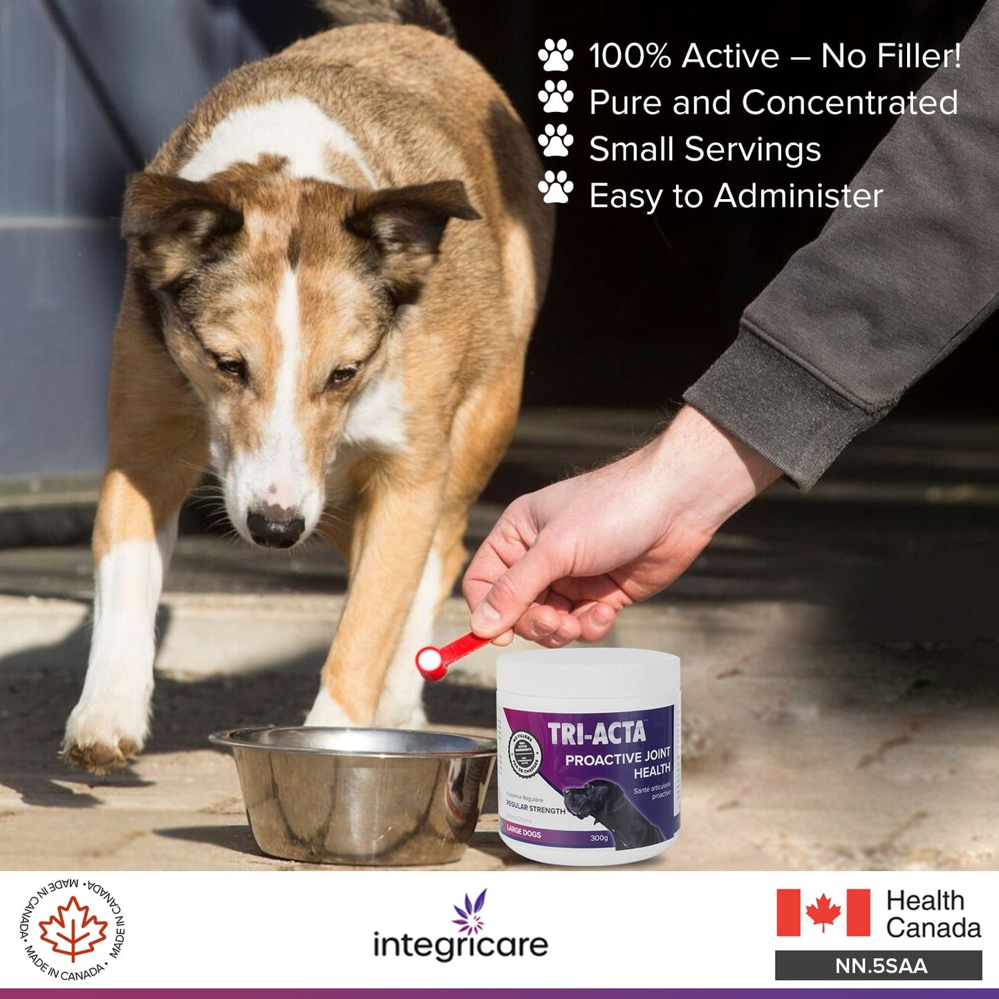 Tri-Acta Regular Strength Joint Health Supplement for Large Dogs, 300-gram (Size: 300-gram)